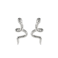 Boucles d'oreilles en forme de serpent en acier argenté.