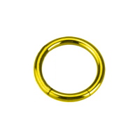 Piercing anneau en acier chirurgical 316L avec un plaquage en titane doré.